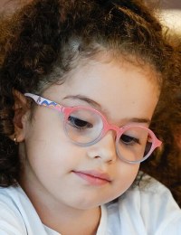 Яде Араи́джи