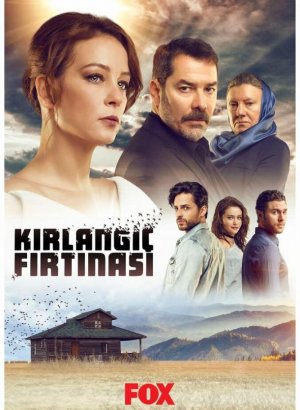 Шторм ласточки