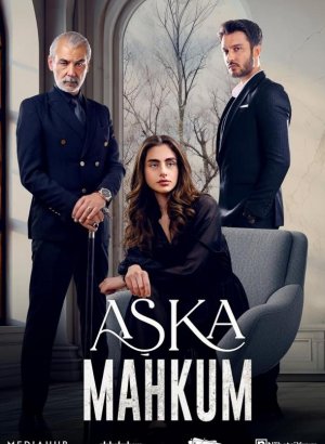 Заключенный любви